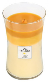 Aromatická svíčka váza, WoodWick Trilogy Fruits of Summer, hoření až 120 hod