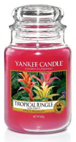 Aromatická svíčka, Yankee Candle Tropical Jungle, hoření až 150 hod