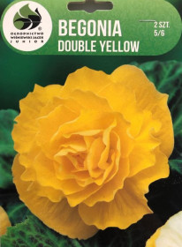 Begónie hlíza, Begonia Double Yellow, Jacek, žlutá, 2 ks