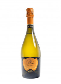 Bílé suché šumivé víno, Cantine Riondo Flute Spumante Brut Casa Burti, 11% obj., 0.75 l