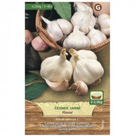 Česnek jarní, sazečka Flavor, MoravoSeed, 250 g