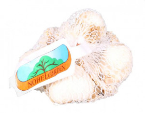 Česnek jarní, sazečka Flavor, Nohel Garden, 500 g