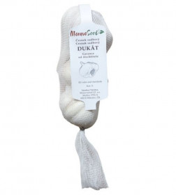 Česnek paličák sadbový DUKÁT, MoravoSeed, 4 ks
