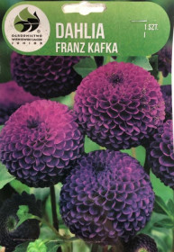 Jiřina hlíza, Dahlia Franz Kafka, tmavě růžová, balená, 1 ks