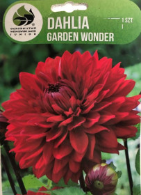 Jiřina hlíza, Dahlia Garden Wonder, červená, balená, 1 ks