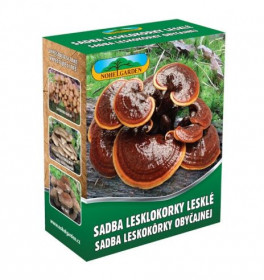 Lesklokorka lesklá, 250 ml, sadba
