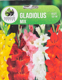 Mečík hlíza, Gladiolus, Jacek, mix barev, 8 ks