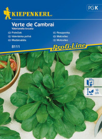 Polníček Verte de Cambrai, Kiepenkerl, semínka