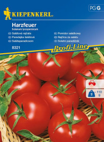 Rajče salátové Harzfeuer, Kiepenkerl, semínka
