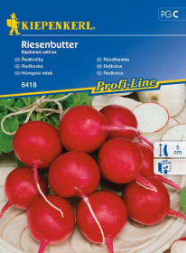 Ředkvička máslová Riesenbutter, Kiepenkerl, semínka