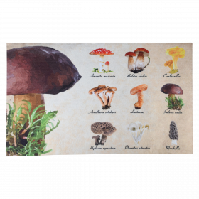 Rohožka s motivem hub, Esschert Design, plastová, délka 75 cm