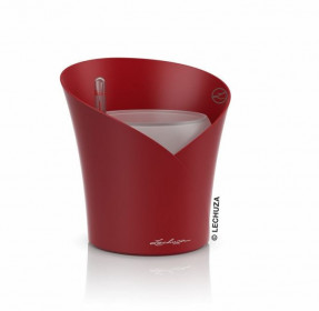 Samozavlažovací květináč Lechuza ORCHIDEA 18, komplet set, červený mat
