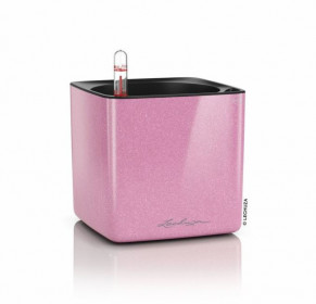 Samozavlažovací stolní květináč Lechuza CUBE Glossy 14, komplet set, růžový