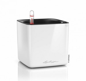 Samozavlažovací stolní květináč Lechuza CUBE Glossy 17, komplet set, bílý