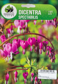 Srdcovka nádherná, Dicentra Spectabilis, Jacek, růžová, 1 ks