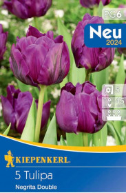 Tulipán cibule, Tulipa Negrita Double, Kiepenkerl, fialový, 5 ks