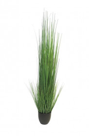 Umělá kostřava King, v květináči, zelená, výška 150 cm