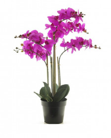 Umělá orchidej Bora, v květináči, 5 výhonů, fialová, výška 60 cm