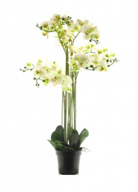 Umělá orchidej Bora, v květináči, 8 výhonů, bílá, výška 110 cm