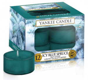 YANKEE svíčka čajová Icy Blue Spruce 12ks