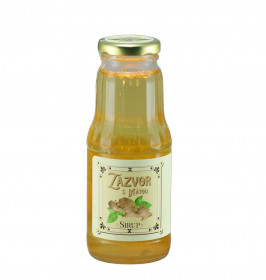 Zázvorový sirup, Bouda 1883, 300 ml
