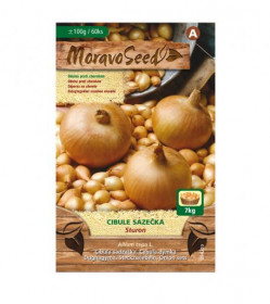 Žlutá cibule sazečka Sturon, MoravoSeed, 100 g