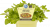 Bio Oregáno neboli Dobromysl, Origanum vulgare, v květináči