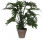 Umělý filodendron, v květináči, zelený, výška 50 cm